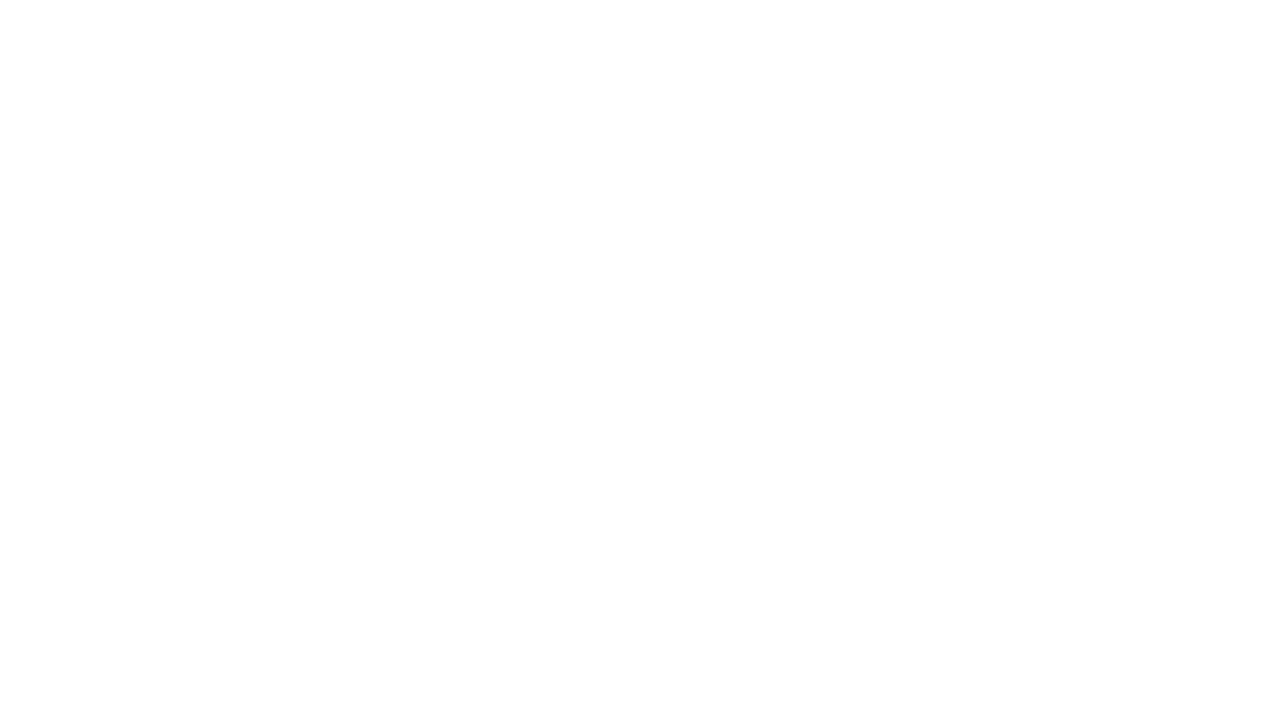 FUNDACION CIES